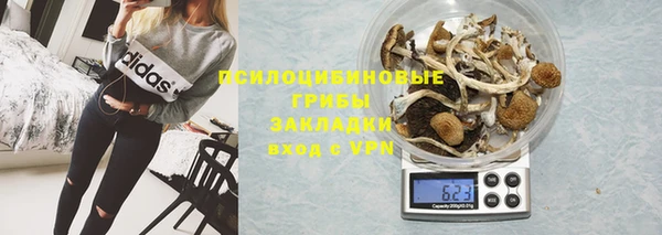 ПСИЛОЦИБИНОВЫЕ ГРИБЫ Нея