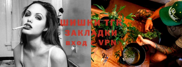 ПСИЛОЦИБИНОВЫЕ ГРИБЫ Нея