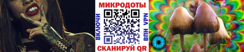 продажа наркотиков  Подпорожье  Галлюциногенные грибы MAGIC MUSHROOMS 