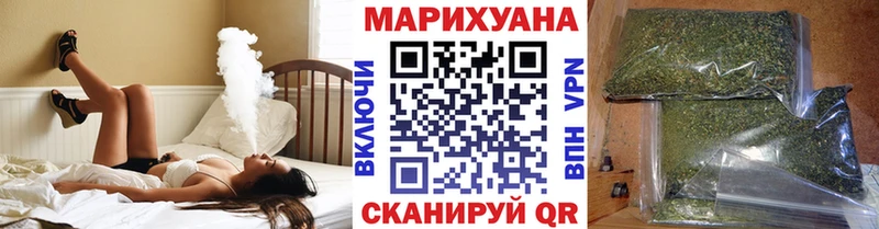 Конопля сатива  Подпорожье 